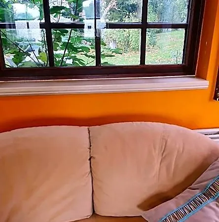 Art, Bed and breakfast