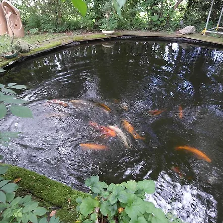 Art, Oda ve Kahvaltı 4*