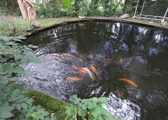 Art, Bed & Breakfast 4*