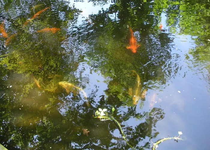 Alojamento de Acomodação e Pequeno-almoço Art, 4*