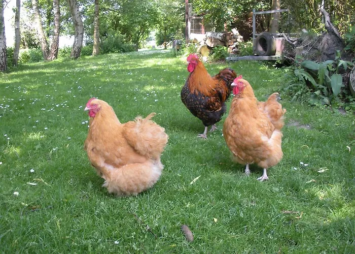 Alojamento de Acomodação e Pequeno-almoço Art, 4*