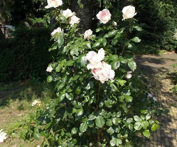 Art, Alojamento de Acomodação e Pequeno-almoço Velden